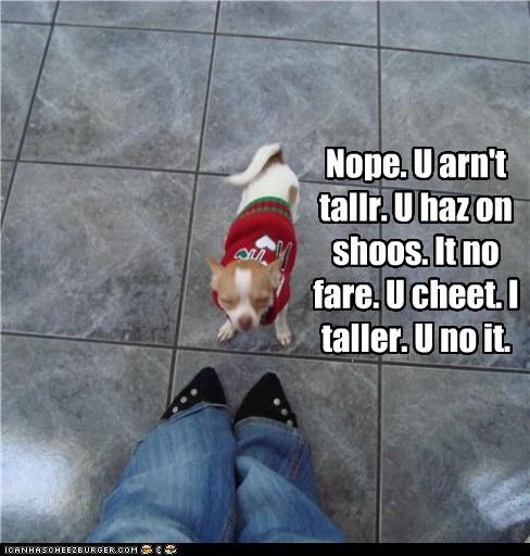 Nope. U arn't tallr. U haz on shoos. It no fare. U cheet. I taller. U no it.