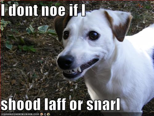 I dont noe if I   shood laff or snarl