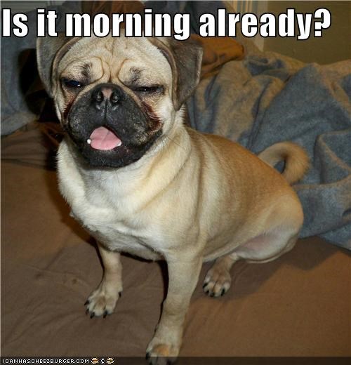 Is it morning already?