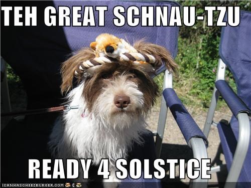 TEH GREAT SCHNAU-TZU  READY 4 SOLSTICE