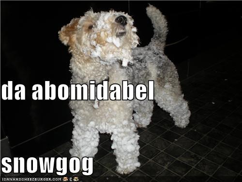 da abomidabel snowgog