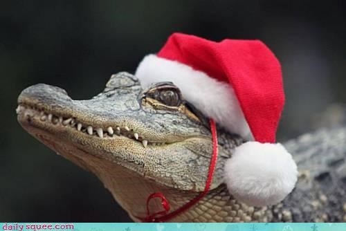 Acting Like Animals: Merry Crocmas!