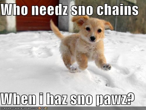 Who needz sno chains  When i haz sno pawz?