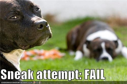 Sneak attempt: FAIL
