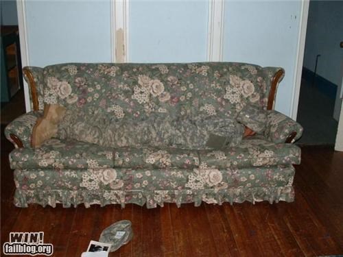 Classic: Camouflage WIN