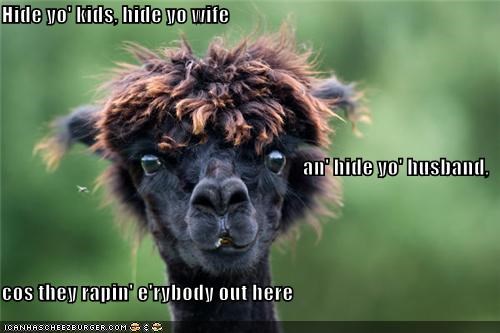 Llama Intrudurrrr
