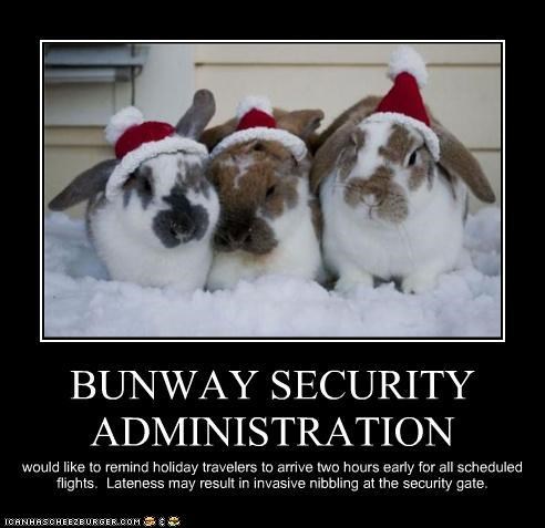 Merry Christmas from the BSA!