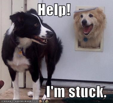 Help!  I'm stuck.