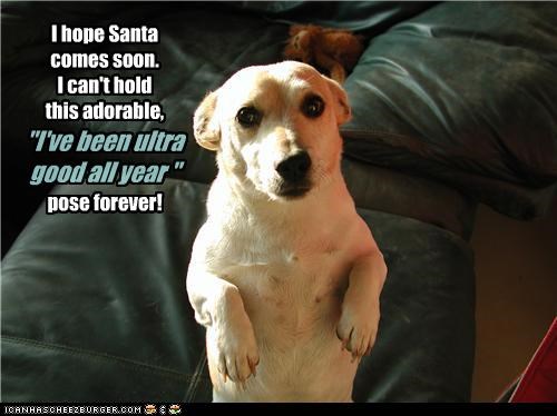 I hope Santa comes soon. I can't hold this adorable, "I've been ultra good all year" pose forever!