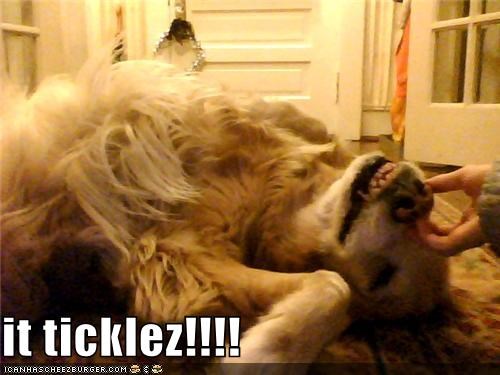 it ticklez!!!!
