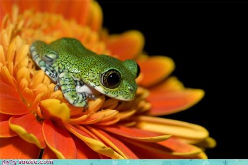 Daily Squee: Yeah, I See You...