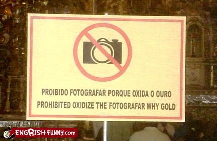 Gold Photography Standard