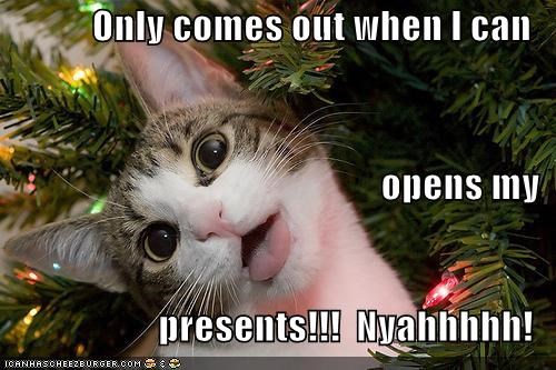 Only comes out when I can opens my presents!!!  Nyahhhhh!