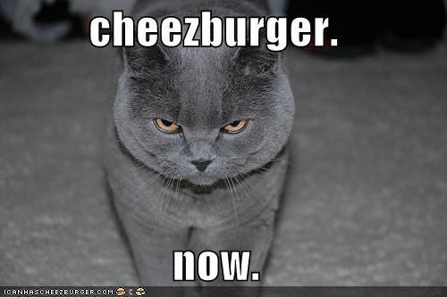cheezburger.  now.