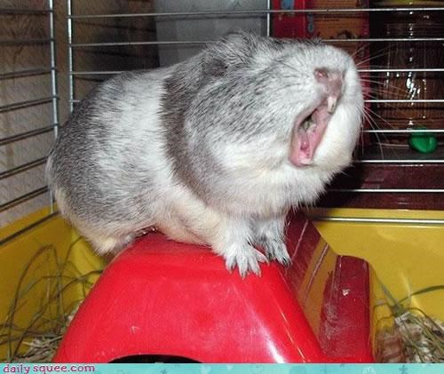 Let Me Sing You The Song of My People!