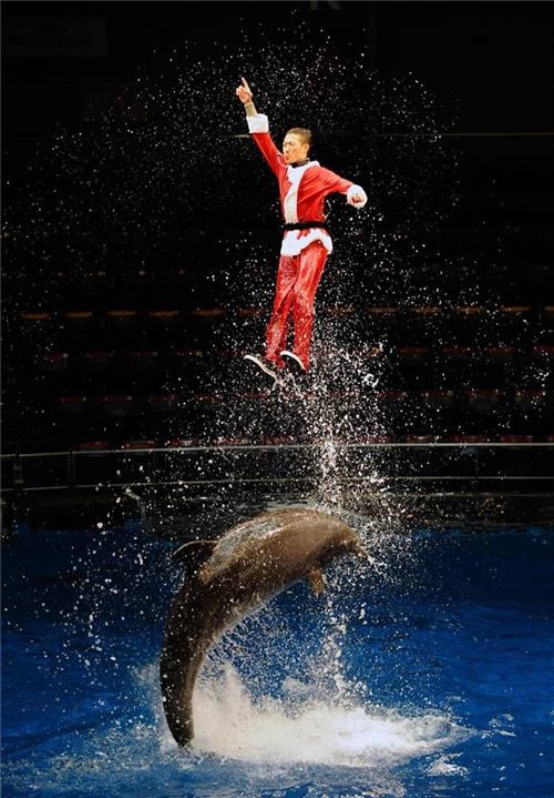 Seaworld Santa