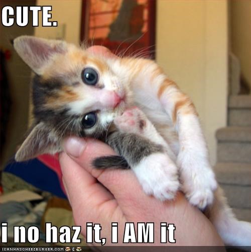 CUTE.  i no haz it, i AM it