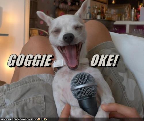 GOGGIE              OKE!