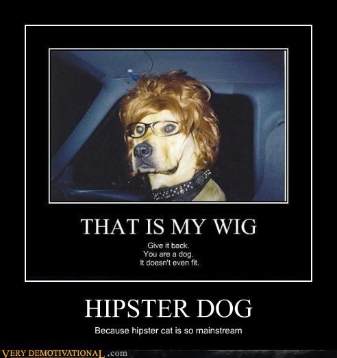HIPSTER DOG