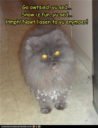 Go owtsied, yu sed... Snow iz fun, yu sed... Hmph! Nawt lissen ta yu enymoer!