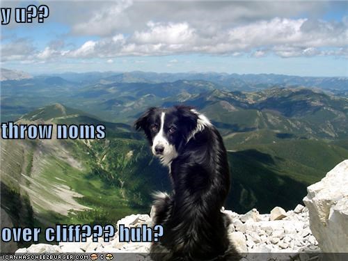 y u?? throw noms over cliff??? huh?