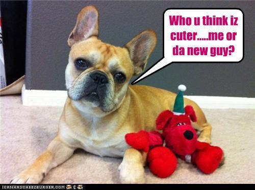 Who u think iz cuter.....me or da new guy?