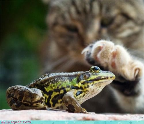 BOOPING! Sometimes it hurts!