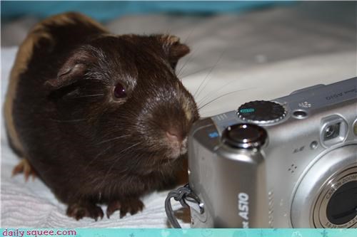 Reader Squee: Mocha