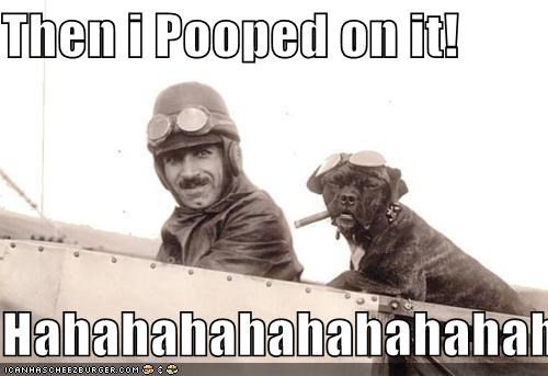 Then i Pooped on it!  Hahahahahahahahahaha