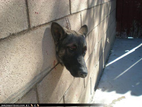 Um... a lil halp heer plz?