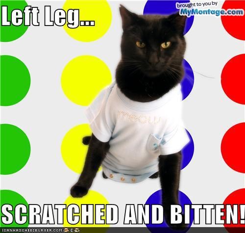 Twister Kitteh (Brought to you by MyMontage.com!)