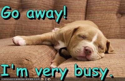 Go away!  I'm very busy.
