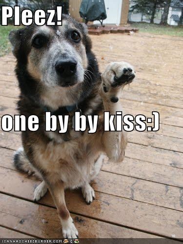 Pleez! one by by kiss:)