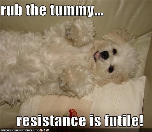 rub the tummy...  resistance is futile!