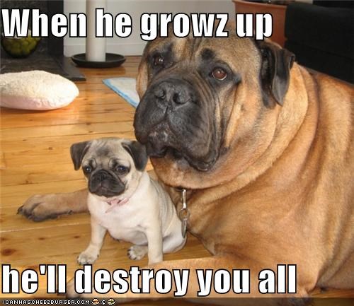 When he growz up  he'll destroy you all
