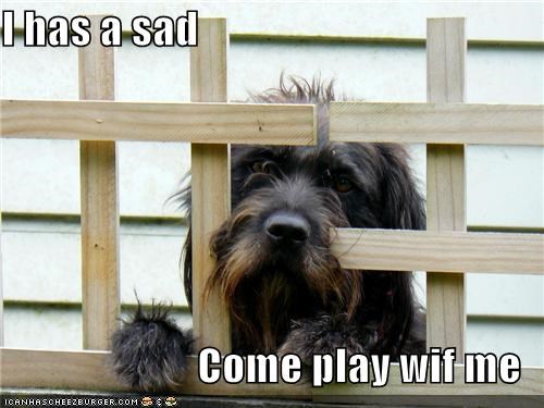 I has a sad  Come play wif me
