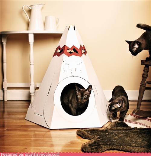 Kitty Teepee