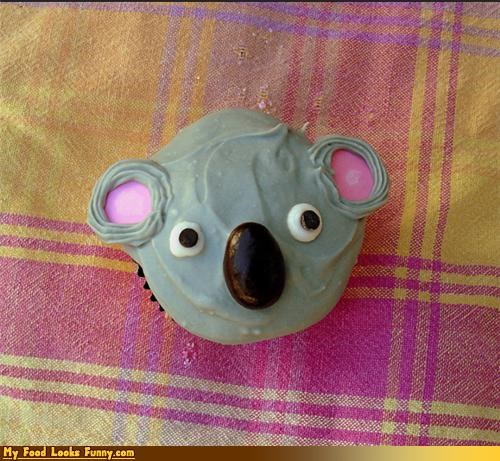 Funny Food Photos - Koala Cupcake