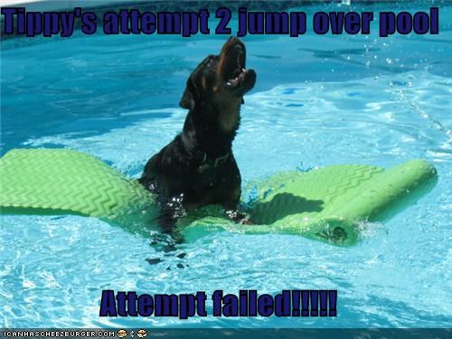 Tippy's attempt 2 jump over pool  Attempt failed!!!!!