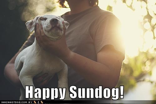 Happy Sundog!