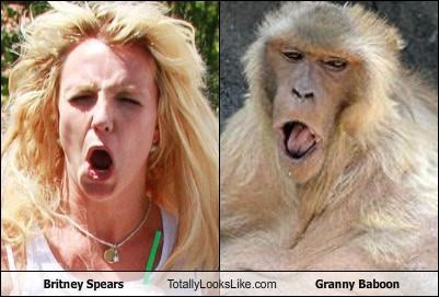 Britney Spears Totally Looks Like Granny Baboon