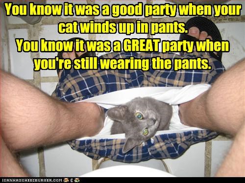 You know it was a good party when your cat winds up in pants.