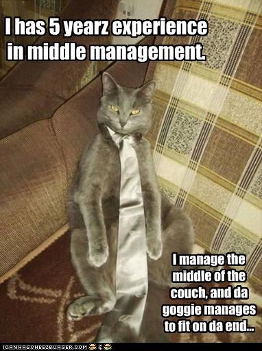 I has 5 yearz experience  in middle management.