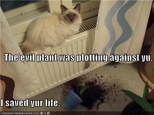 The evil plant was plotting against yu. I saved yur life.