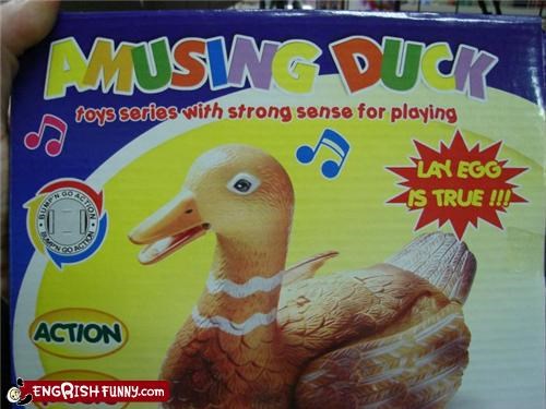 "Amusing" is Not in My Duck Lexicon