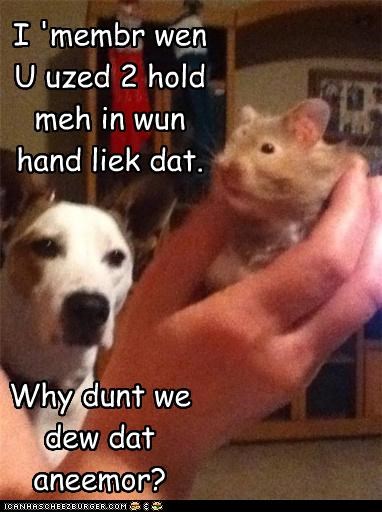 I 'membr wen U uzed 2 hold meh in wun hand liek dat.