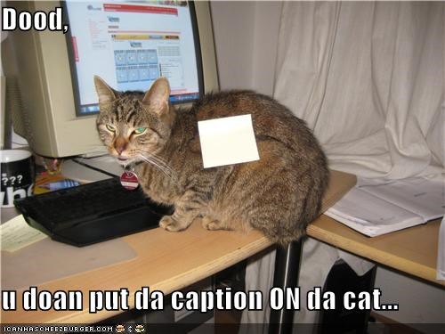Dood,   u doan put da caption ON da cat...