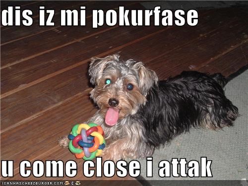 dis iz mi pokurfase  u come close i attak