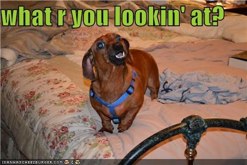 what r you lookin' at?