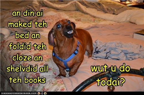an din ai maked teh bed an foldid teh cloze an shelvdid all teh books